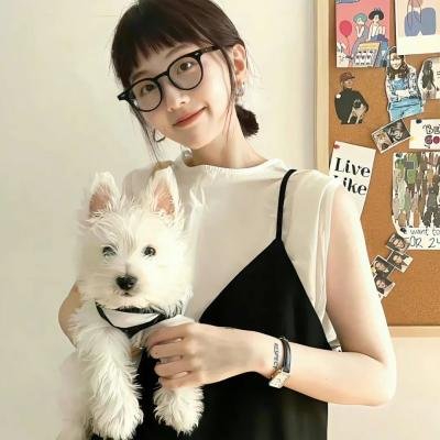 纽约教父